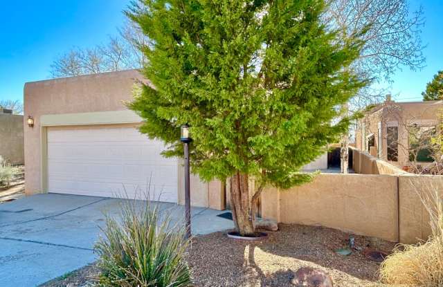 NE HEIGHTS photos photos