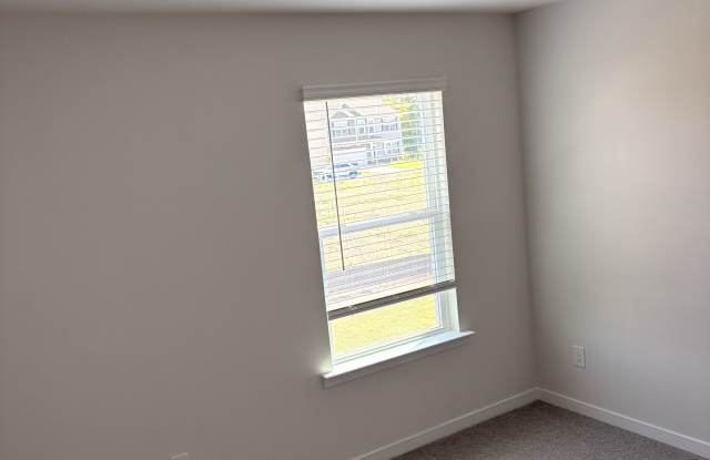 13138 Bristlehead Way Gallery 4