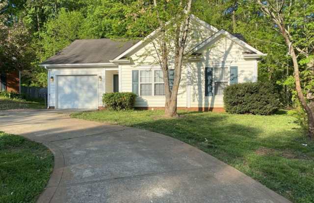 3109 Passour Ridge Ln. - 3109 Passour Ridge Lane, Charlotte, NC 28269