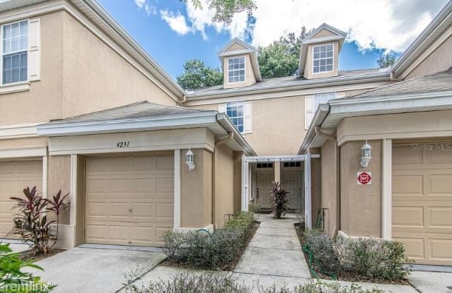 4231 Key Thatch Dr - 4231 Key Thatch Drive, East Lake-Orient Park, FL 33610