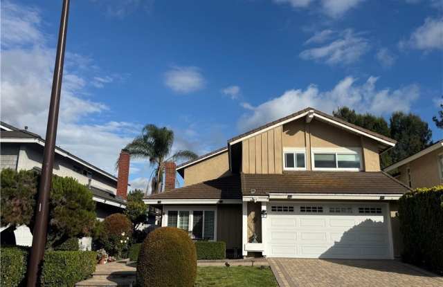 3 White Birch photos photos
