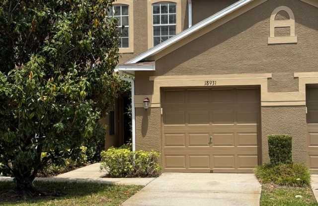 18931 Duquesne Drive - 18931 Duquesne Drive, Tampa, FL 33647