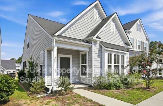 803 Lachicotte Creek Dr Gallery 2
