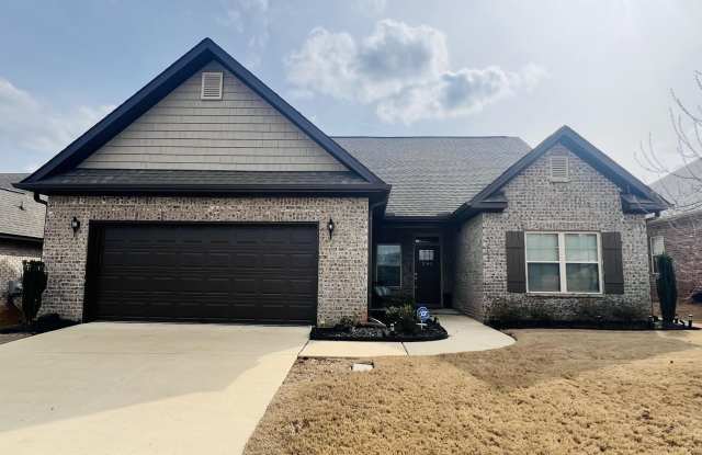 292 Holt Street photos photos