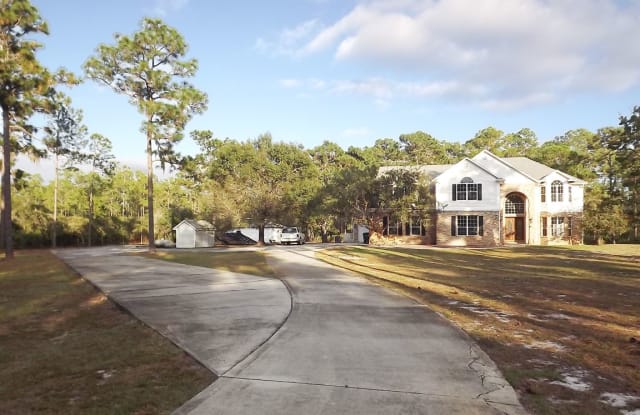 13203 Lacebark Pine Rd - 13203 Lacebark Pine Road, Lake Mary Jane, FL 32832