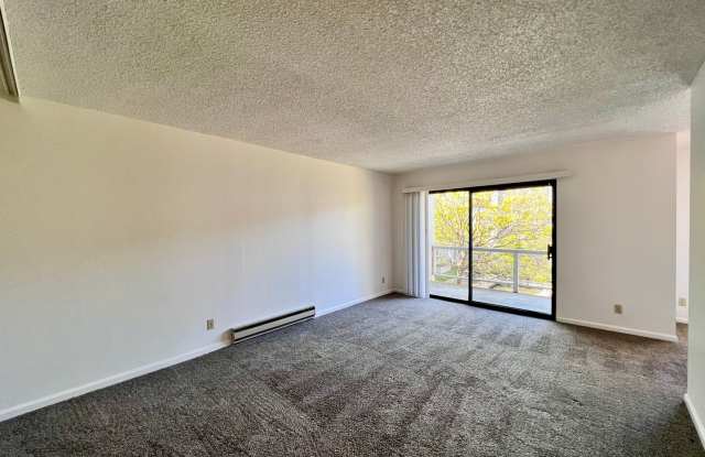 Large sunny 1 bedroom with lush courtyard views! photos photos