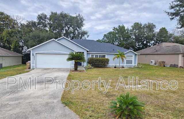 10600 Cedar Forest Circle - 10600 Cedar Forest Circle, Lake County, FL 34711