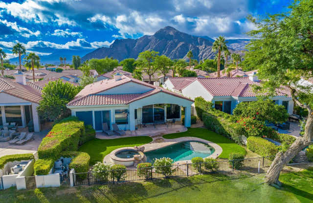 79310 Toronja photos photos