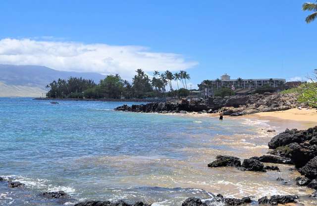 S Kihei Furnished Beach Condo near Charlie Young Beach and Cove Park Gallery 3