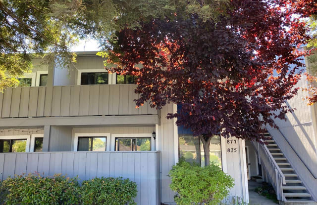877 Cherry Creek Cir - 877 Cherry Creek Circle, San Jose, CA 95126