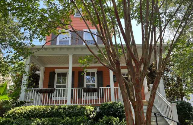 Beautiful custom Daniel Island home! photos photos