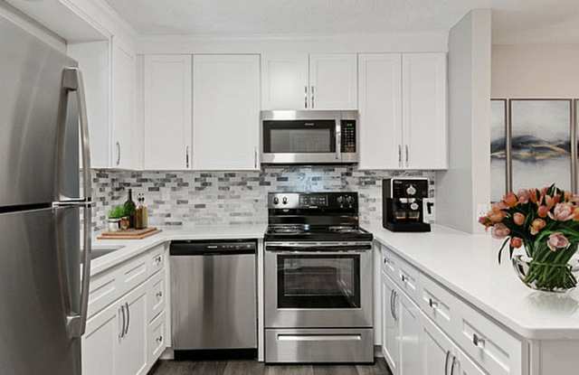 Aurora photos photos Aurora photos photos