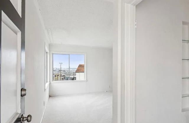 324 Topeka Ave - 324 Topeka Avenue, San Francisco, CA 94124