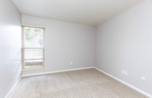 Tivoli Apartments Gallery 3