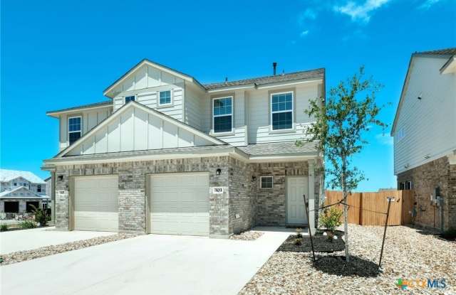 303 Alamar Knot Way photos photos