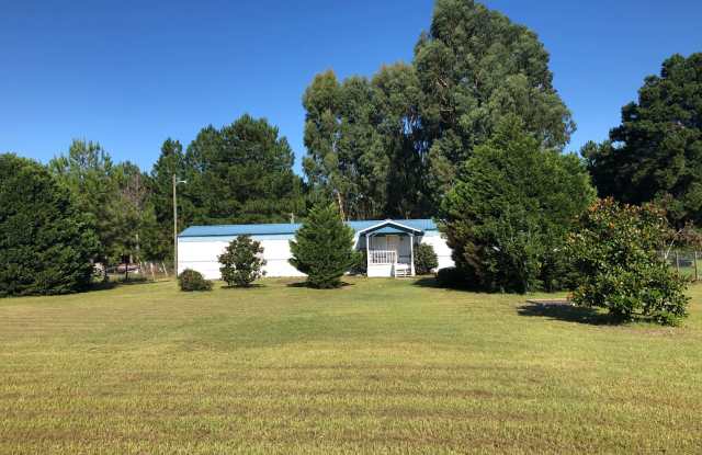111 Washington Drive - 111 Washington Drive, Long County, GA 30427