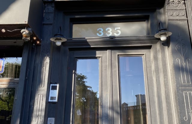 335 Flatbush Avenue - 335 Flatbush Avenue, Brooklyn, NY 11217
