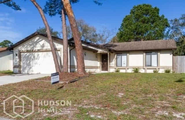 10311 Maverick Street - 10311 Maverick Street, River Ridge, FL 34654