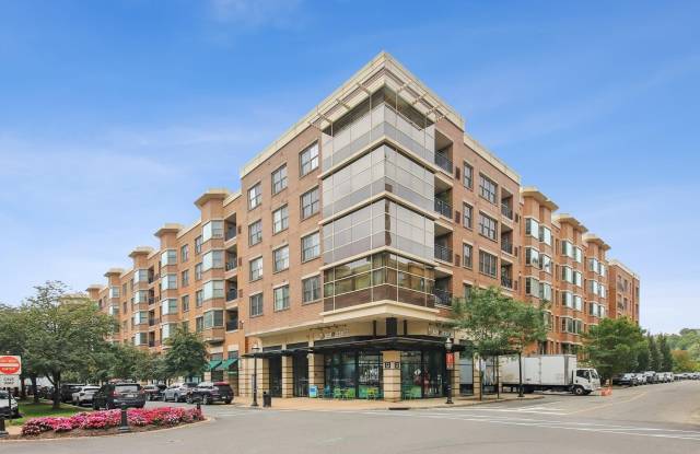 22 AVENUE AT PORT IMPERIAL photos photos