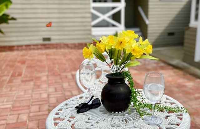 Quintessential Ventura 1 bed rear unit with LARGE, PRIVATE, BEAUTIFUL OUTDOOR LIVING AREA photos photos