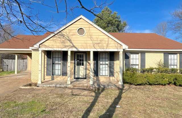 7084 Texel Cv photos photos