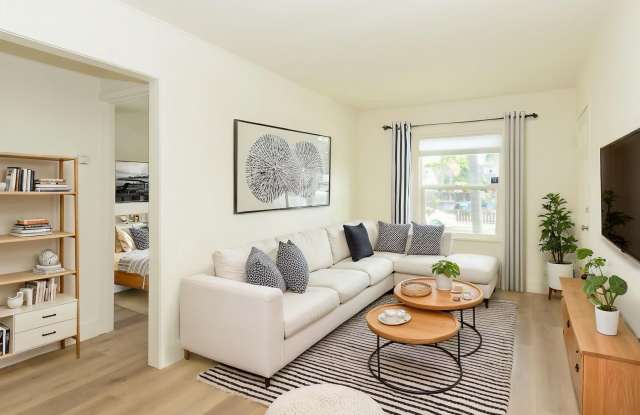 **REDUCED SECURITY DEPOSIT** Refreshed 2 Bed /1 Bath Pacific Beach Duplex Near the Ocean & Bay! photos photos