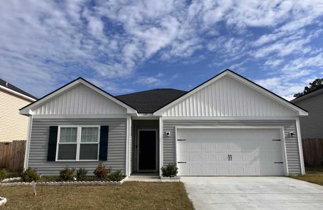 229 W W Winn Avenue - 229 West West Winn Avenue, Flemington, GA 31313