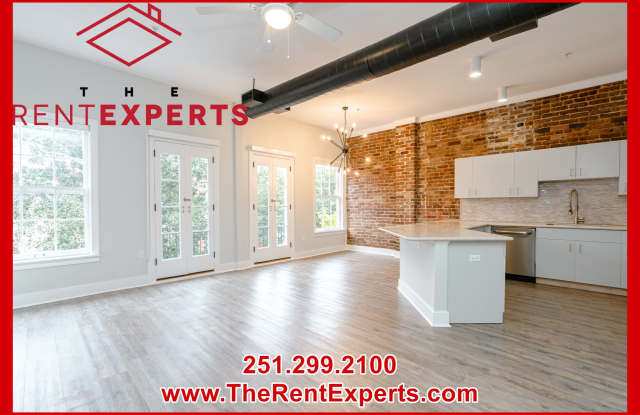 360 Dauphin Street - 3C - 360 Dauphin Street, Mobile, AL 36602