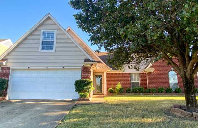 3 bed, 2 bath house with fresh paint, appliances in Southaven photos photos