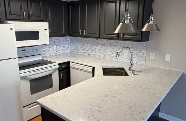 Recently updated 3bed/2bath with 2 ASSIGNED parking spots! Lease for FALL 2026 at $3150 per month for entire unit! photos photos