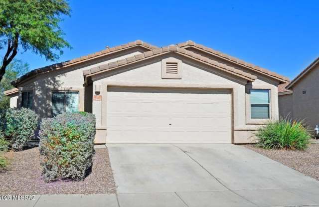 11046 W Willow Field Drive - 11046 West Willow Field Drive, Marana, AZ 85653
