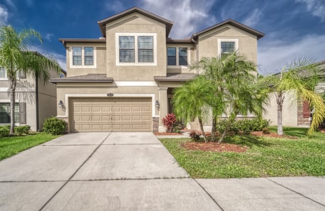 11618 PALMETTO PINE STREET - 11618 Palmeto Pine Street, Riverview, FL 33569