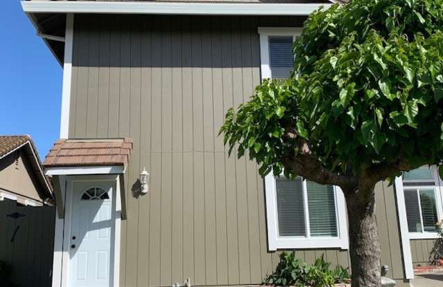 Gorgeous Studio ~ Convenient Location in East Petaluma ~ Reverse Osmosis Water photos photos