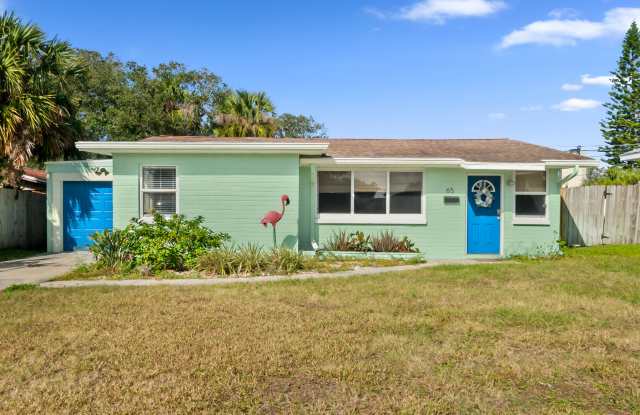 65 Alamanda Drive - 65 Alamanda Drive, Ormond-by-the-Sea, FL 32176
