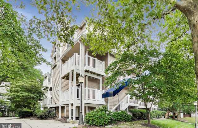10805 HAMPTON MILL TERRACE photos photos