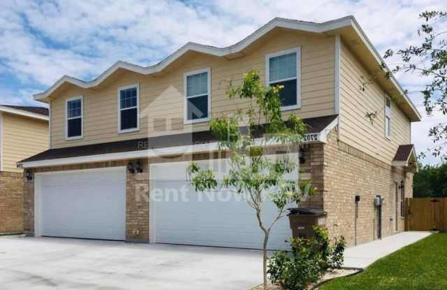 2618 Phoenix St - 2618 Phoenix Street, Edinburg, TX 78541