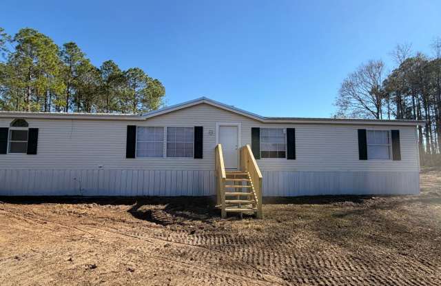 3 Bed 2 Bath Waterfront Property - Now Available - 290 Green Oak Road, Toombs County, GA 30436
