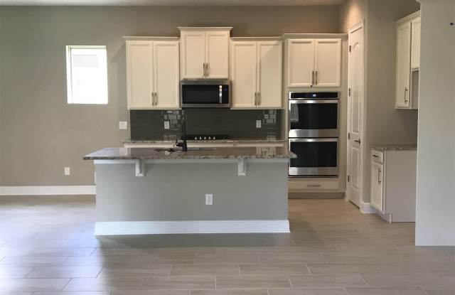 16978 Tradewind Point, Winter Garden Gallery 4