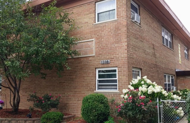 1238 Elgin Avenue - 1238 Elgin Avenue, Forest Park, IL 60130
