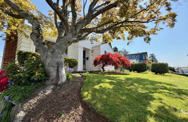 Magnolia Home photos photos
