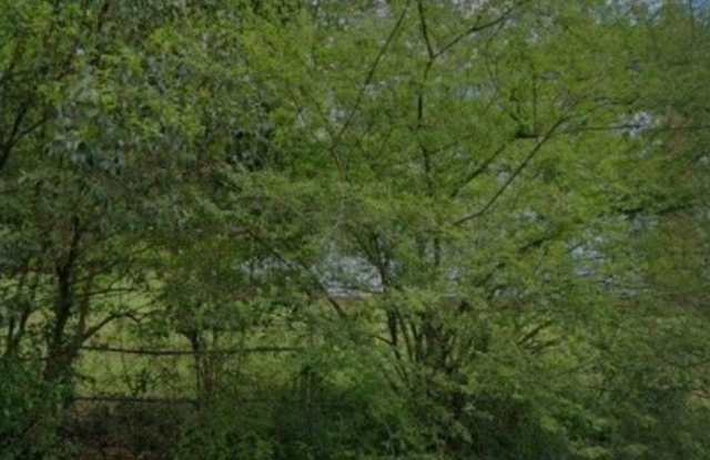 3316 Branch Street photos photos