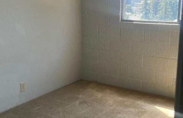 1 Kelton Ct Apt 9 Gallery 4