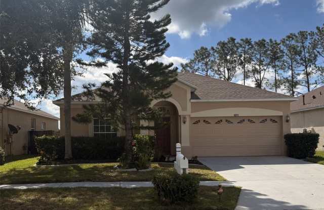 10211 GOLDENBROOK WAY - 10211 Goldenbrook Way, Hillsborough County, FL 33647