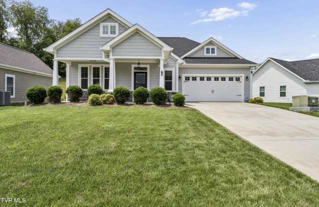 515 Villa Lane - 515 Villa Lane, Greeneville, TN 37745