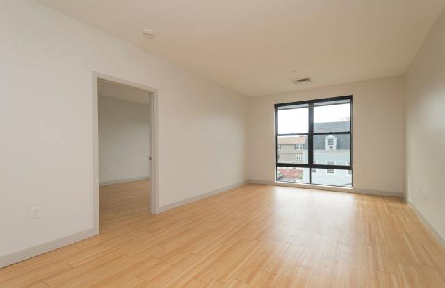 Unique Brighton Apartment - 63 Fairbanks Street, Boston, MA 02135