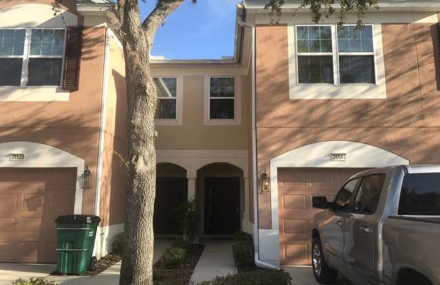26541 Chimney Spire Ln. - 26541 Chimney Spire Lane, Wesley Chapel, FL 33544
