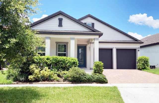 15071 GUAVA BAY DRIVE - 15071 Guava Bay Drive, Horizon West, FL 34787