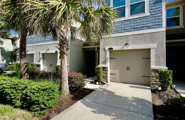 11674 Cambium Crown Dr - 11674 Cambium Crown Drive, Riverview, FL 33569