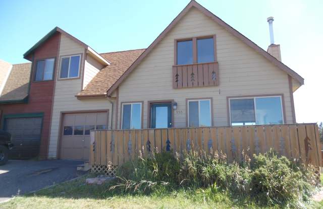 955 Forest Hill Rd - 955 Forest Hill Road, Woodland Park, CO 80863