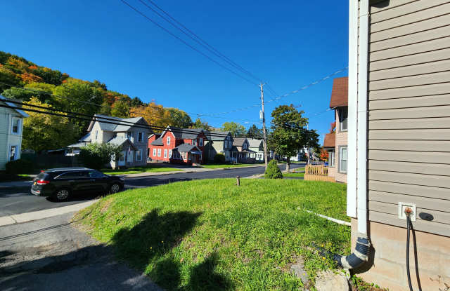 319 Charles Avenue - 319 Charles Avenue, Solvay, NY 13209